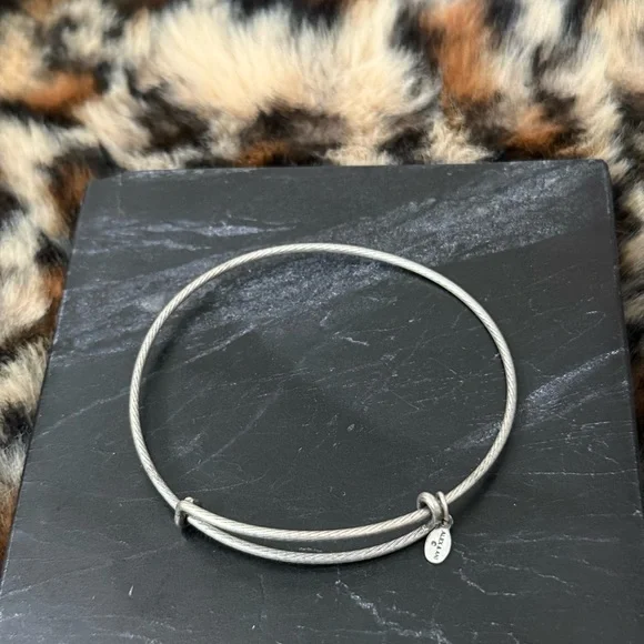 Alex & Ani Charm Bracelets Lot of 8 - 2012 2013 2015 - Picture 11 of 16